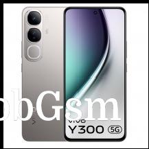 vivo Y300