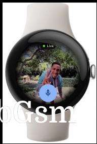 Live feed from Nest cameras on Pixel Watch 2