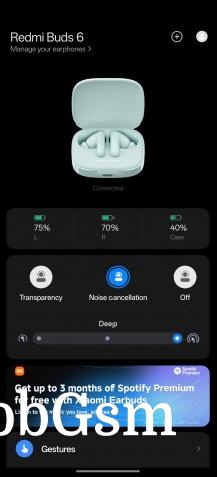 Xiaomi Earbuds app