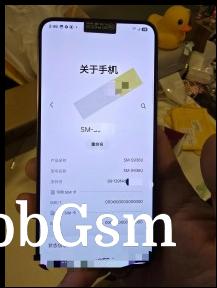 Samsung Galaxy S25+ spy shots