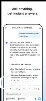 The DeepSeek app on iOS