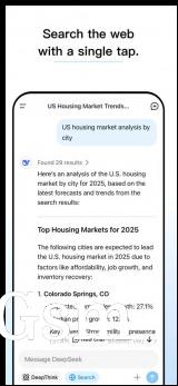 The DeepSeek app on iOS