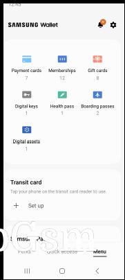 Samsung Wallet