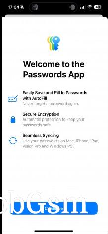 Passwords - Apple iPhone 16 review