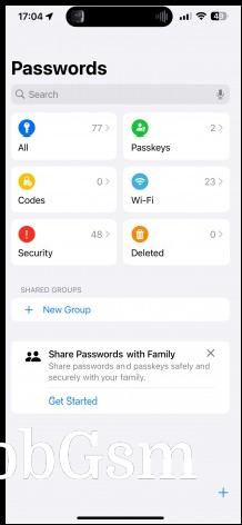 Passwords - Apple iPhone 16 review