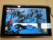Acer